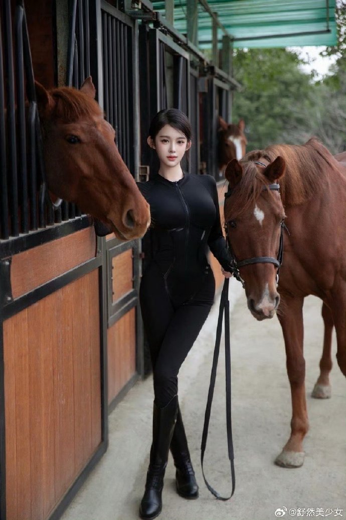 闻香识女人 封面